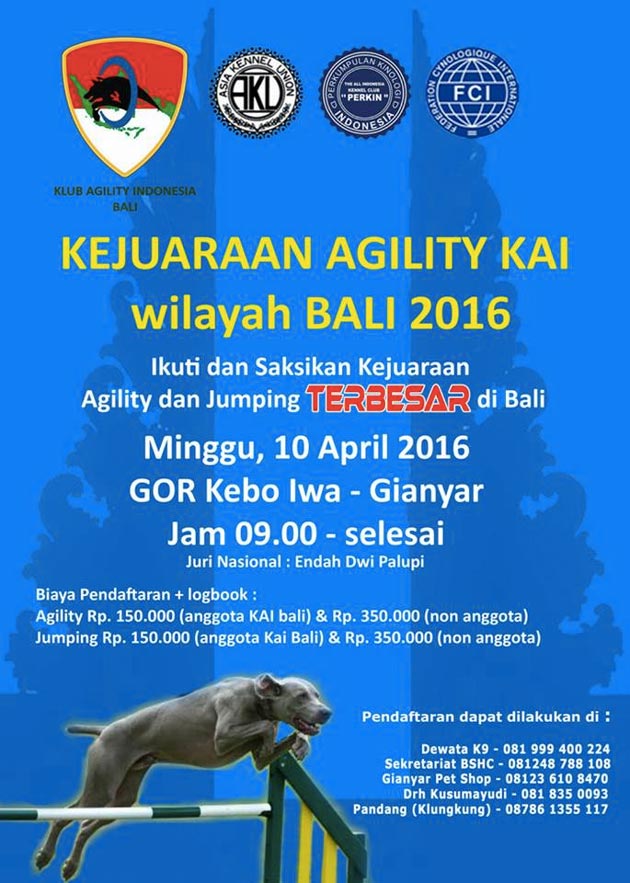 Kejuaraan Agility KAI Bali 2016