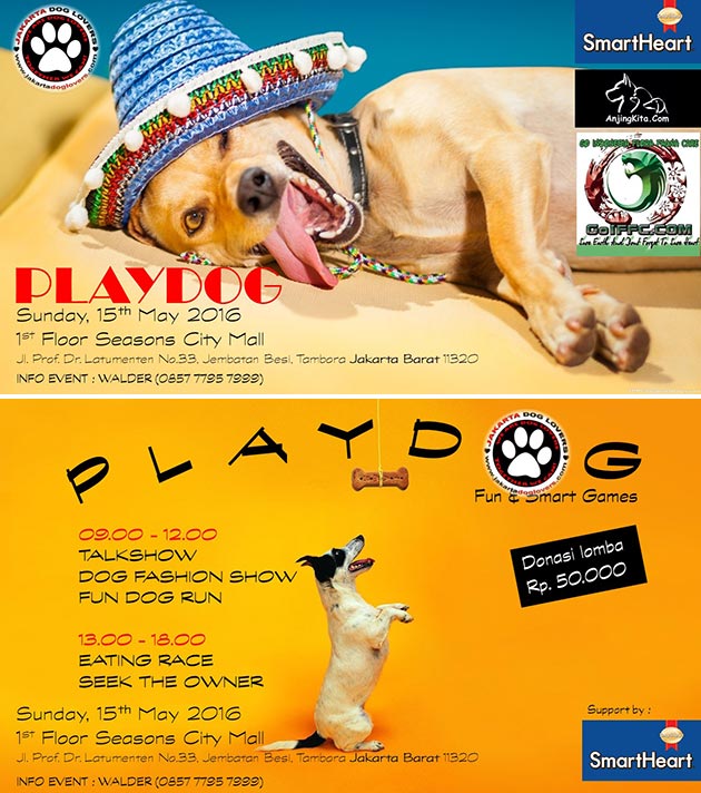 Play Dog | Dog Event Mall Seasons City