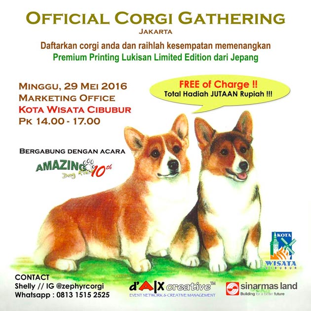 Corgi Lovers Gathering @Kota Wisata Cibubur
