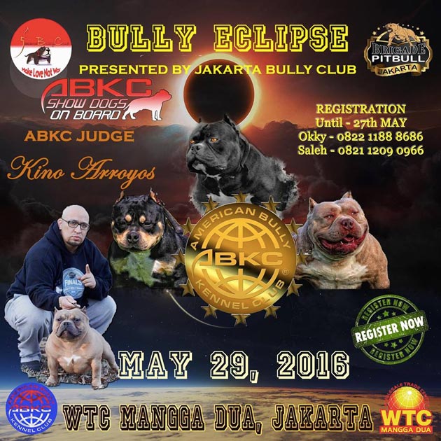 ABKC SHOW - BULLY ECLIPSE - WTC Mangga Dua