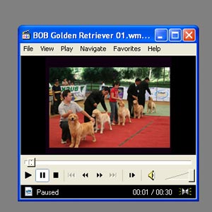 Video....Video....Video....