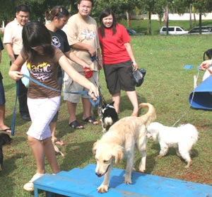 Weekend Training Bersama K9 DTC & IPD 2