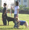 Pelatihan Anjing Bersama K9 DTC