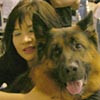 Liputan 2 Days Bali Championship Dog Show