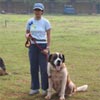Regular Weekend Training K9 DTC