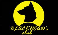 Blackhead's Club Dogs Gathering