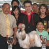 Liputan Pameran PERKIN Jaya Back To Back & All Breed