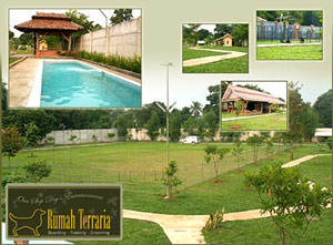 Open House Rumah Terraria