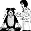 Terapi Akupuntur Sebagai Terapi Alternatif Pada Anjing