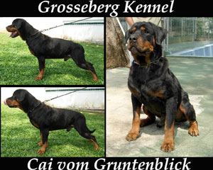Cai vom Gruntenblick