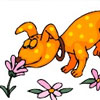Terapi Aroma Pada Anjing