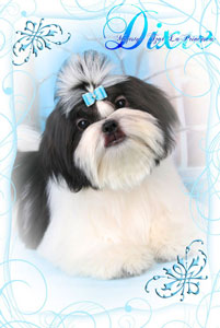 Majestys Tzar LaPrincesca Dixie