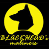 Blackhead's Club Workshop