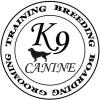 Fun Weekend Training for Beginners