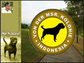 Rottweiler-Kolonie.Com