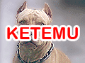 APBT Hilang Di Daerah Pondok Pekayon Indah Bekasi