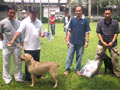 Liputan Fun Together With Labrador Retriever (2)
