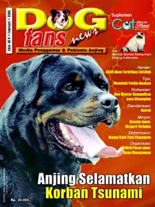 Dog Fans News edisi 46/Februari 2005
