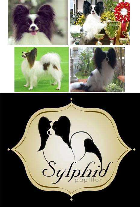 Sylphid Kennel