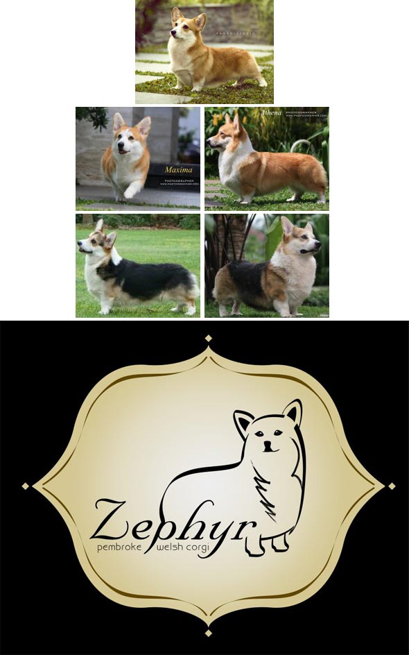 Zephyr Kennel