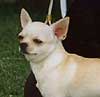 INA. CH. Lambrou's Noble Prize (Timmy)