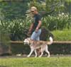 Liputan Dogs On The Road & Swimming
