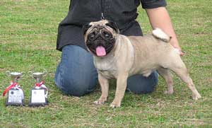 INA.CH. Leo Von SS#20