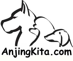 AnjingKita.com Punya Logo