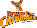 Beverly Hills Chihuahua,  The Greatest Chihuahua Movie!!!