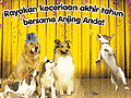 PEDIGREE Woofiesta