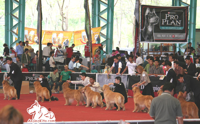 Ring Pameran Siap Dalam Semalam