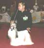 Liputan Pameran All Breed & Karya Guna Perkin Jabar
