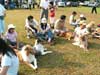 Liputan Dogs Gathering