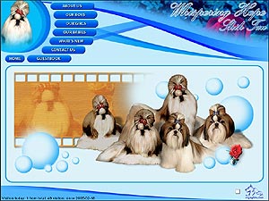 Whispering Hope Shih Tzu