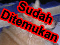 Pomeranian Hilang Di Sekitar Ruko Daan Mogot Baru