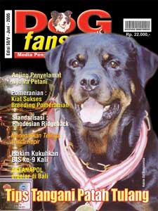DOGfans News edisi 50 / Juni 2005