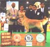 Thailand Grand Dog Show 2005