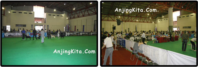 Layaknya Pameran World Dog Show