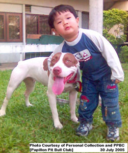 Pitbull : War Dogs