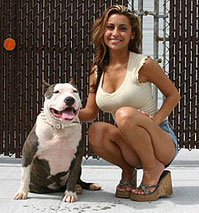 Pitbull : Anjing Tangguh, Karakter Yang Baik & Pemilik Yang Bijaksana