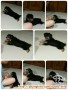 anjing hilang