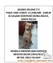 DI CARI ANJING HILANG_HARI INI 13 JAN 2017