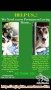 Urgently Need Adopter