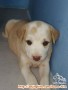Yang minat, hubungi cpt