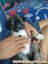 Need adopter daerah Jakbar atau Tangerang