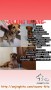 DICARI ANJING HILANG di SERPONG
