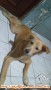 Need new home