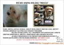 Anjing Hilang Mocca di Permata Hijau, Jakarta selatan