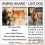 Anjing Hilang Di Bandung