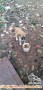 Open Adopt daerah Tangerang Ciledug